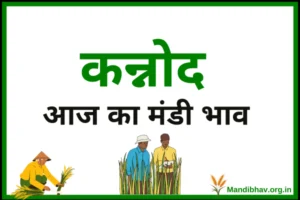 kannod-mandi-bhav