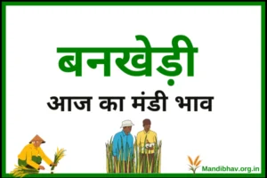 bankhedi-mandi-bhav