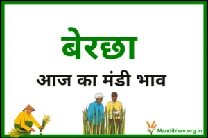bercha-mandi-bhav