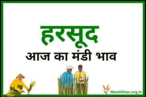 harsud-mandi-bhav-today
