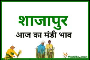 shajapur-mandi-bhav