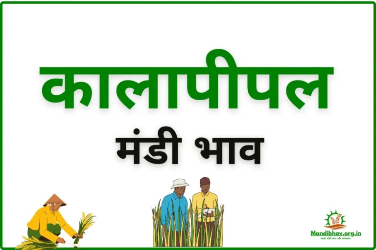 kalapipal-mandi-bhav