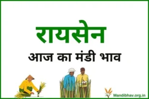 raisen-mandi-bhav-today