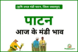 PATAN-MANDI-BHAV