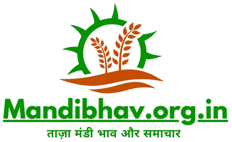 Mandibhav.org.in