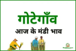 gotegaon-mandi-bhav