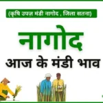Nagod Mandi Bhav आज के नागोद मंडी भाव