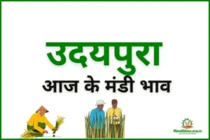 udaipura-mandi-bhav