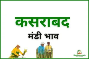 kasarabad-mandi-bhav