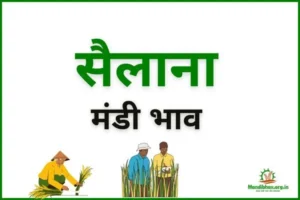 sailana-mandi-bhav
