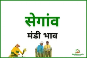 segaon-mandi-bhav