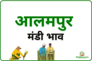alampur-mandi-bhav
