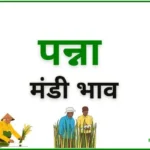 Panna Mandi Bhav पन्ना मंडी भाव