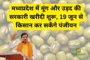 /mung-urad-msp-kharidi-madhyapradesh-2025