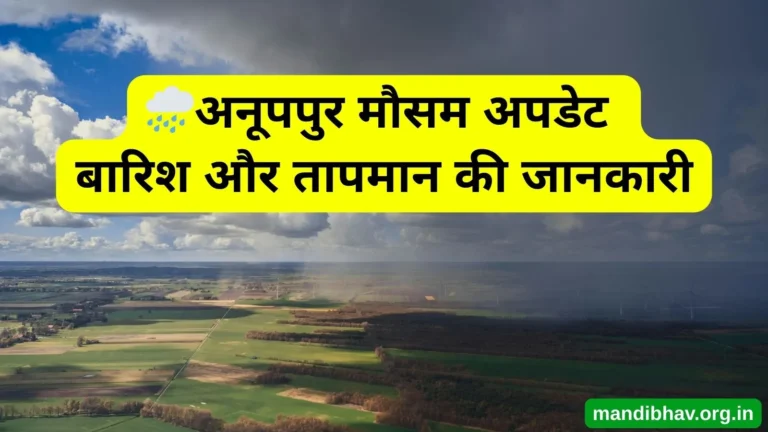 अनूपपुर का आज का मौसम – बारिश ठंड और तापमान की ताज़ा जानकारी