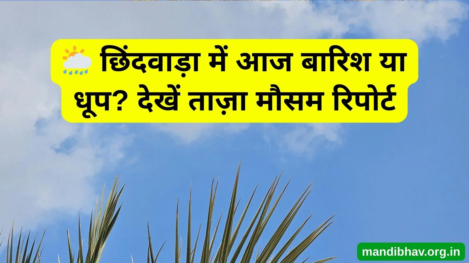 छिंदवाड़ा का आज का मौसम – बारिश  ठंड और तापमान की ताज़ा जानकारी