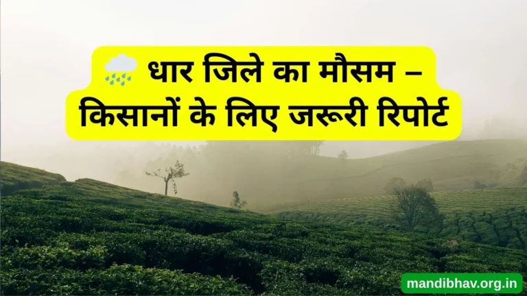 धार का आज का मौसम – बारिश ठंड और तापमान की ताज़ा जानकारी