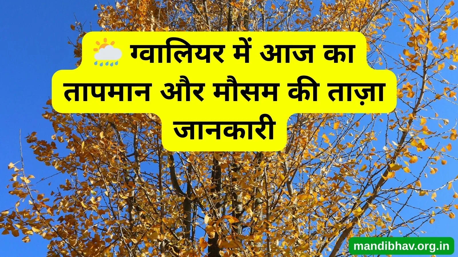 ग्वालियर का आज का मौसम – बारिश ठंड और तापमान की ताज़ा जानकारी