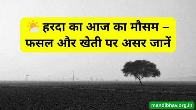 हरदा का आज का मौसम – बारिश ठंड और तापमान की ताज़ा जानकारी