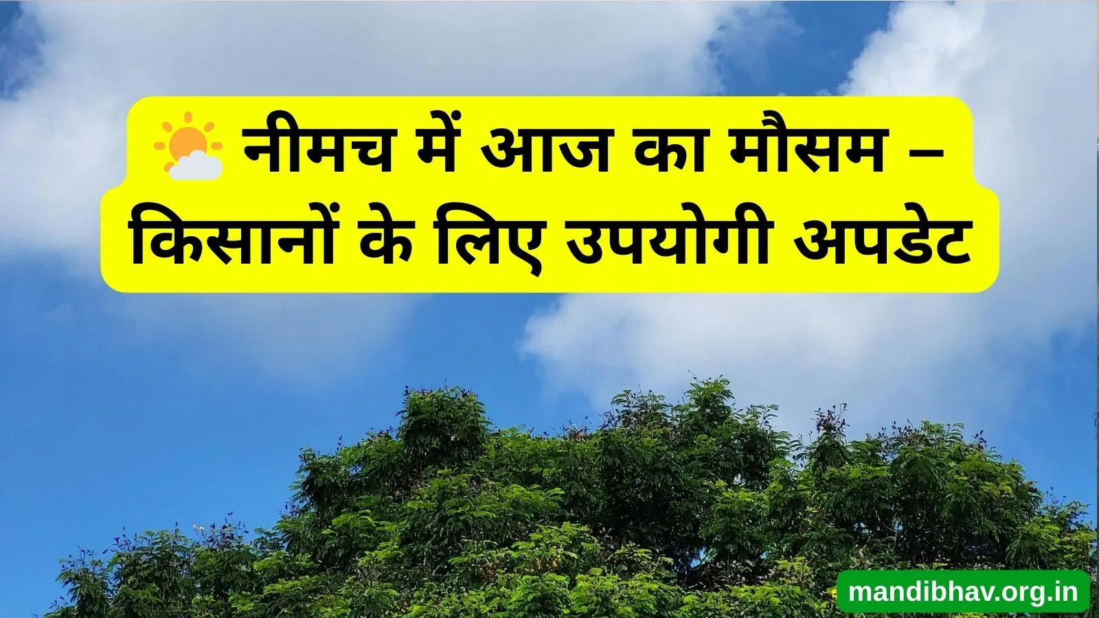 नीमच का आज का मौसम – बारिश ठंड और तापमान की ताज़ा जानकारी