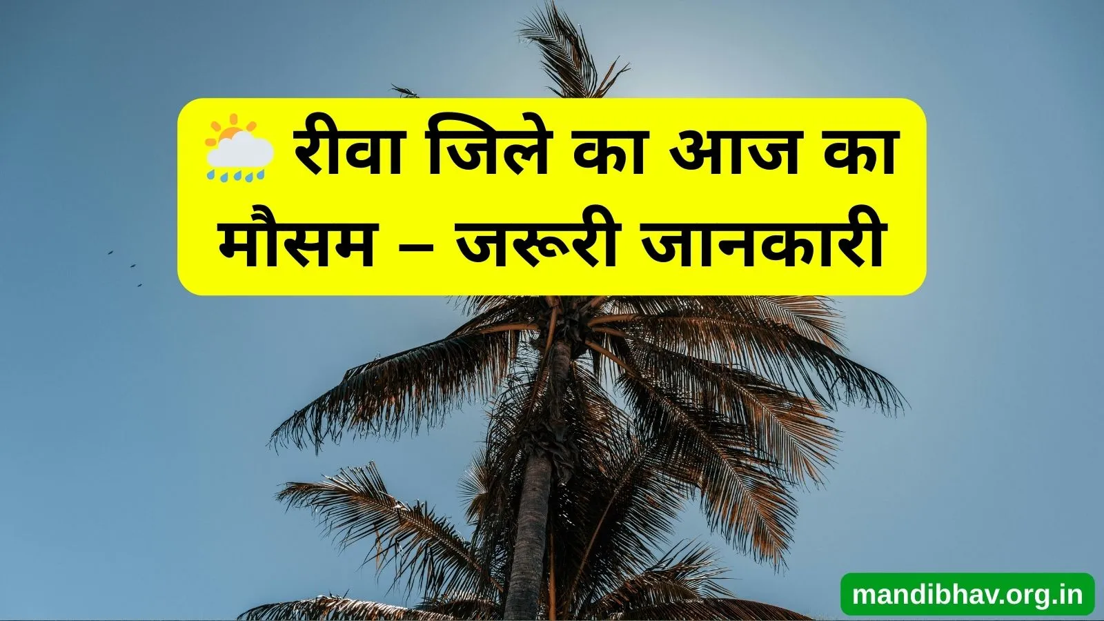 रीवा का आज का मौसम – बारिश ठंड और तापमान की ताज़ा जानकारी