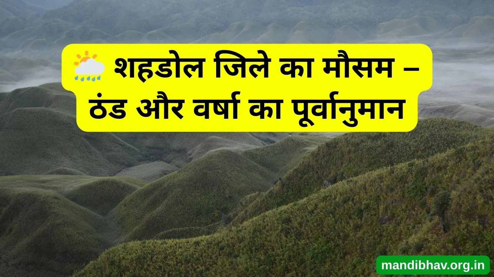 शहडोल का आज का मौसम – बारिश ठंड और तापमान की ताज़ा जानकारी