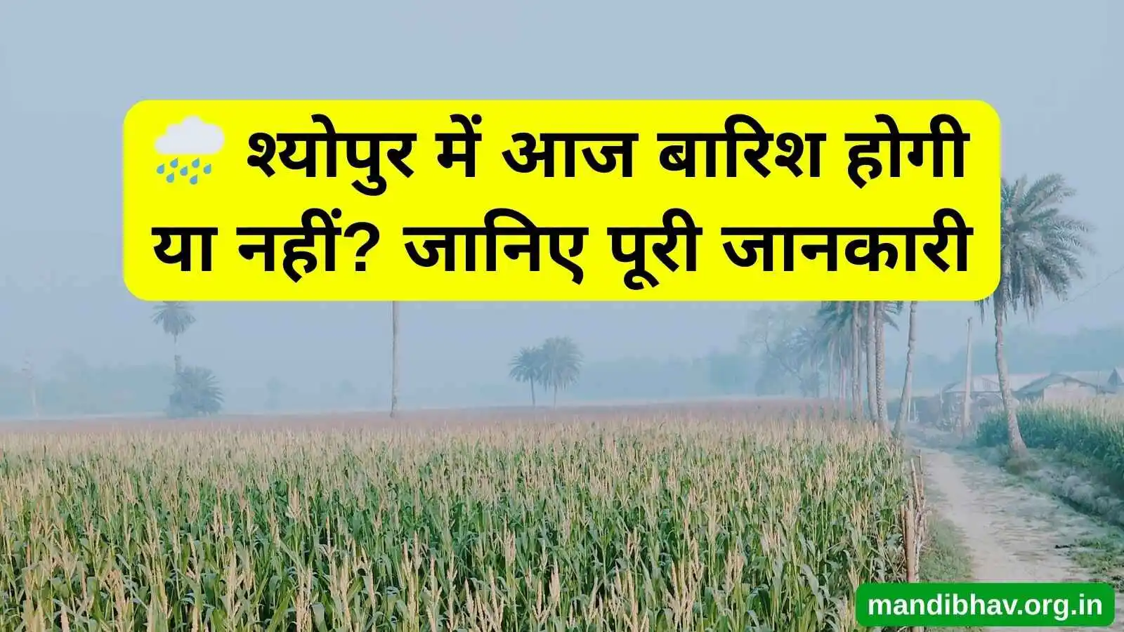 श्योपुर का आज का मौसम – बारिश ठंड और तापमान की ताज़ा जानकारी