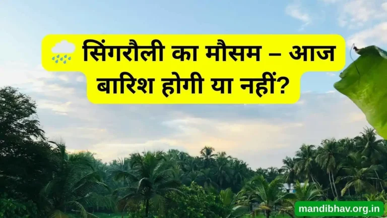 सिंगरौली का आज का मौसम – बारिश ठंड और तापमान की ताज़ा जानकारी
