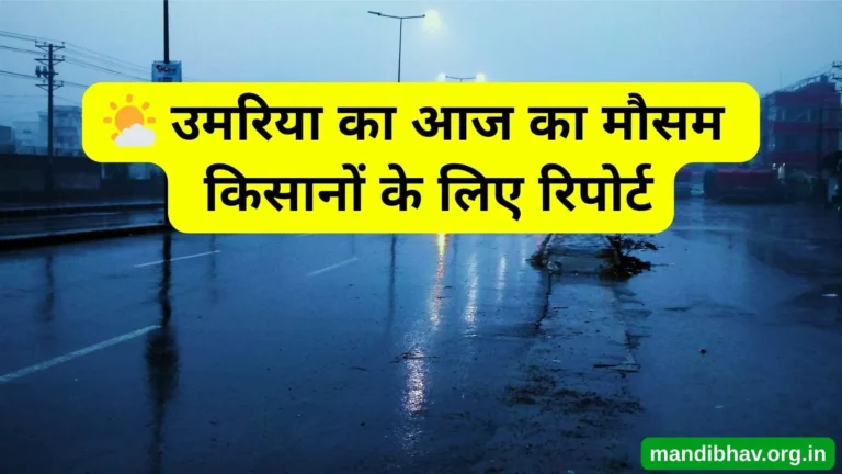 उमरिया का आज का मौसम – बारिश ठंड और तापमान की ताज़ा जानकारी